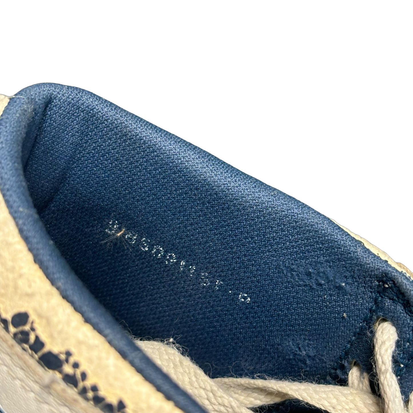 1985 Jordan 1 Metallic Blue