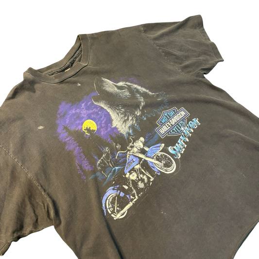 Vintage 1993 Harley Davidson Fairfield Shirt