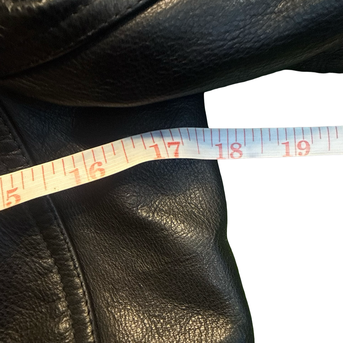 Rick Owens Stooges Leather Jacket