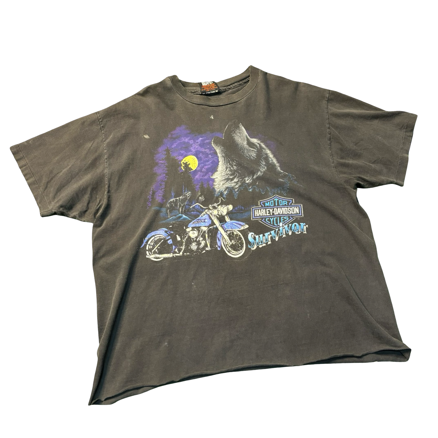 Vintage 1993 Harley Davidson Fairfield Shirt