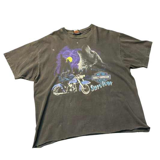 Vintage 1993 Harley Davidson Fairfield Shirt