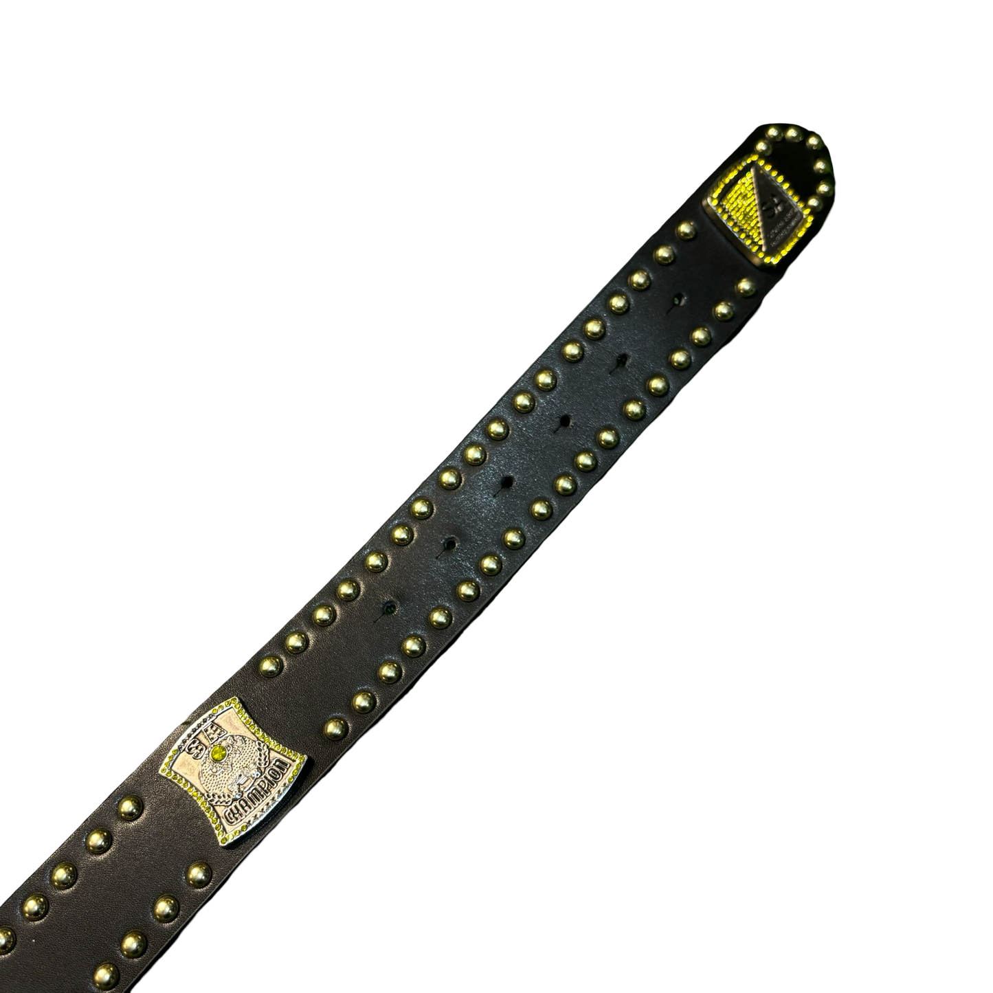 Stolen Arts “SA” Spinner Championship Belt