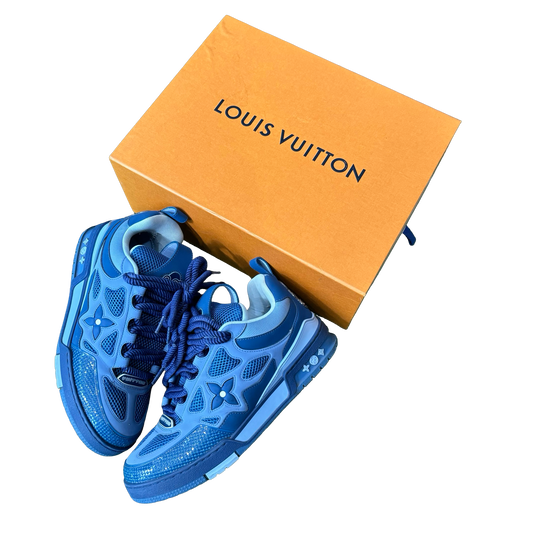 Louis Vuitton Skate Shoes